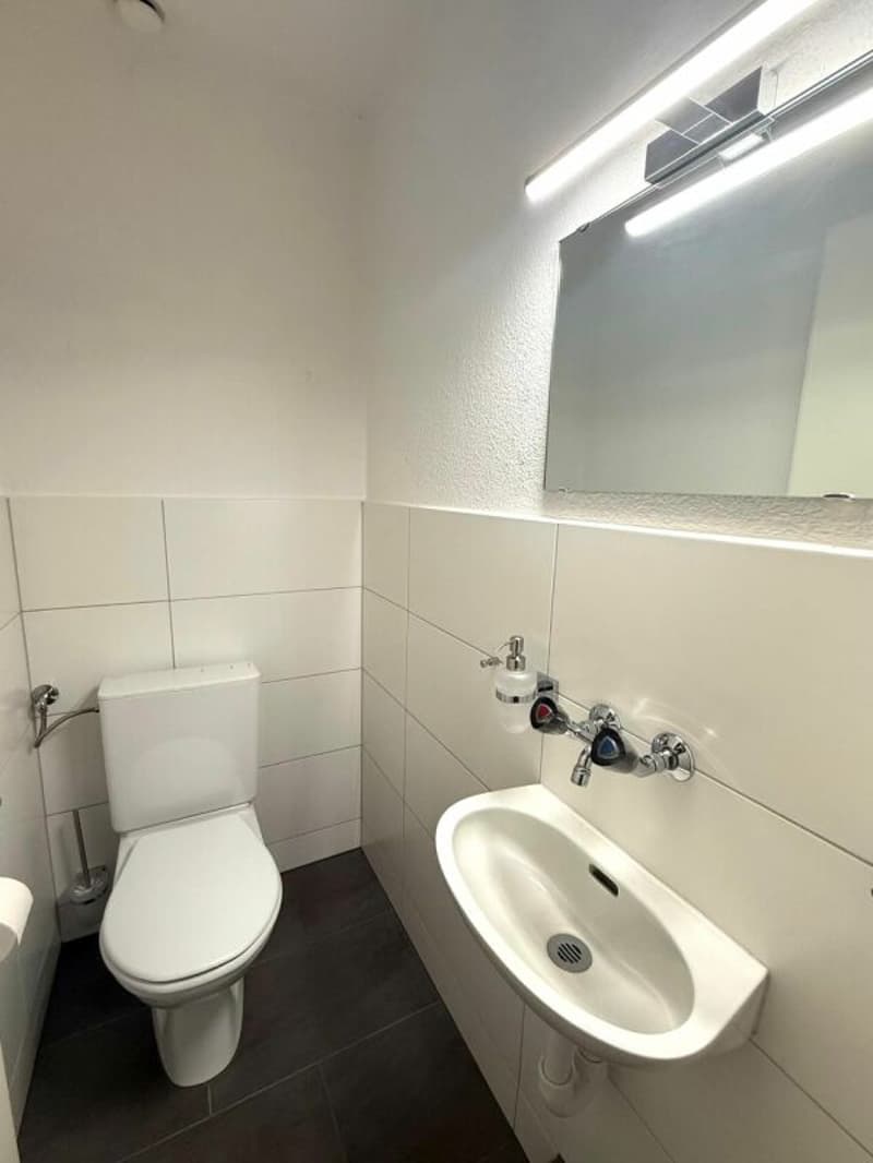 Schöne 4.5-Zimmer-Attika-Wohnung (10)