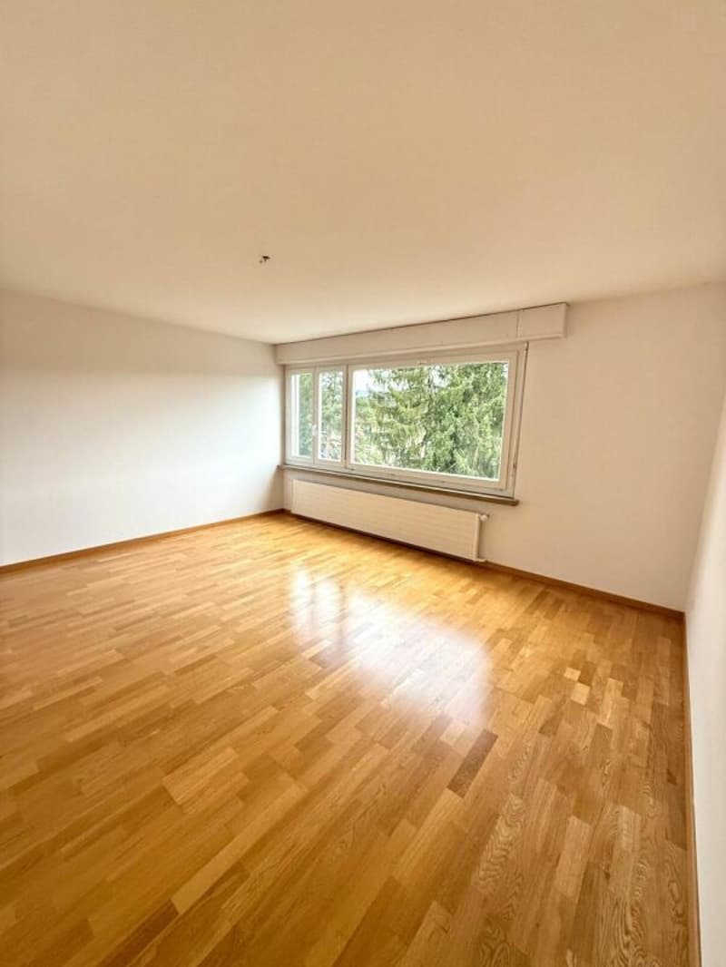 Schöne 4.5-Zimmer-Attika-Wohnung (6)