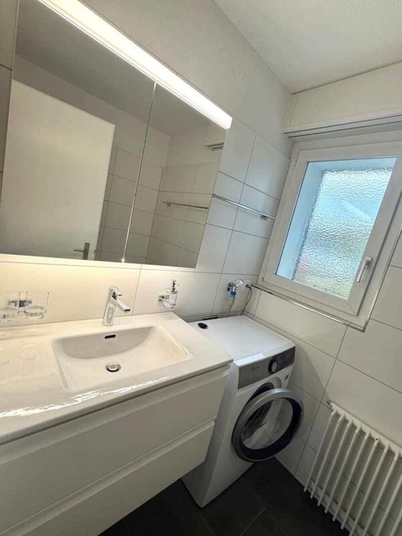 Schöne 4.5-Zimmer-Attika-Wohnung (9)