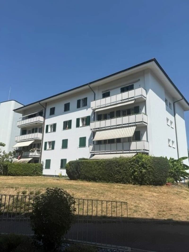 Charmante 3-Zimmer-Wohnung an ruhiger Lage (13)