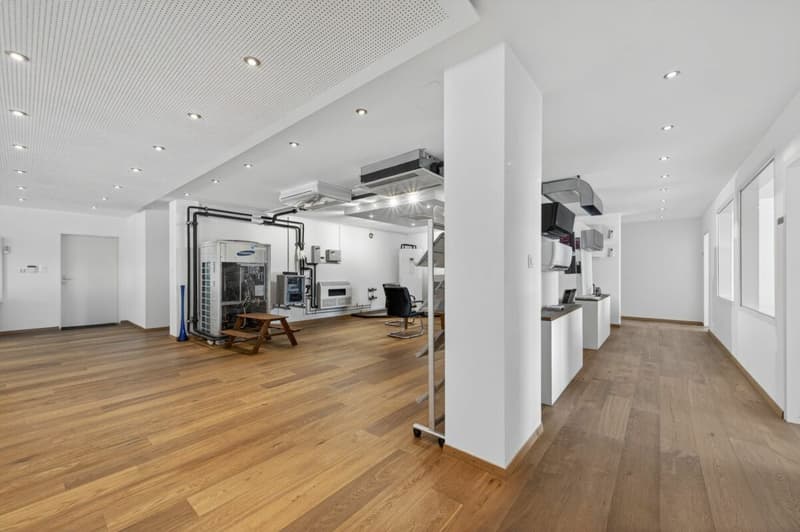 Attraktive Büro- und Lagerfläche (3)