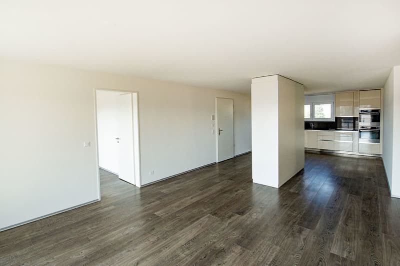 Traumhafte Wohnung mit grossem Balkon! (3)