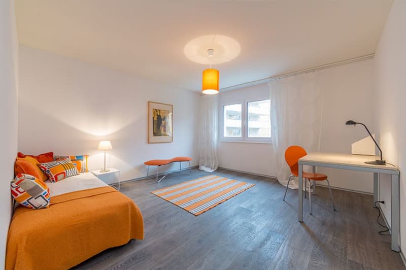 Traumhafte Wohnung mit grossem Balkon! (3)