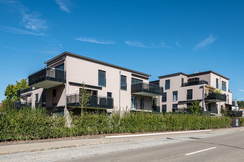 Stilvolle, moderne Wohnung in gepflegter Überbauung! (8)