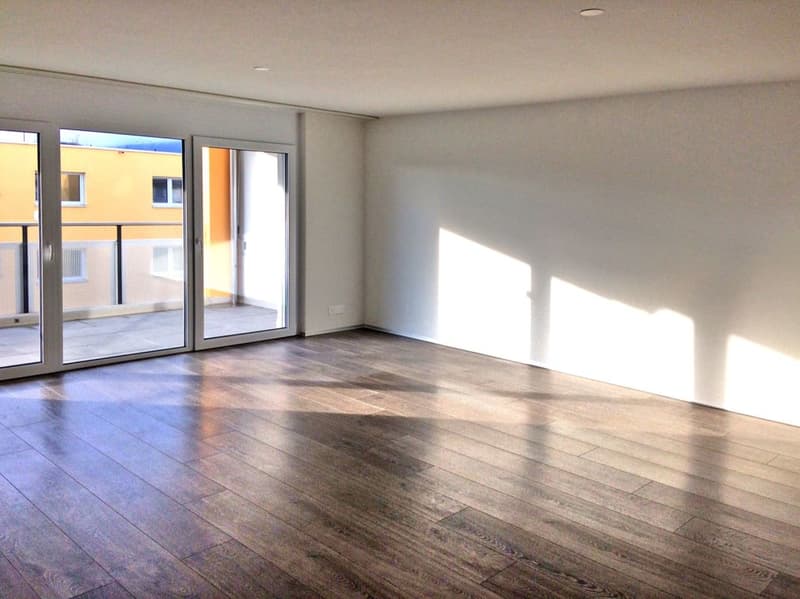 Moderne, helle Wohnung - grosse Terrasse mit Abendsonne! (3)