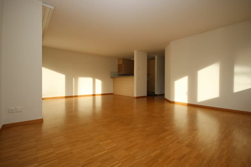 Grosszügige, moderne Wohnung in parkähnlicher Umgebung (6)