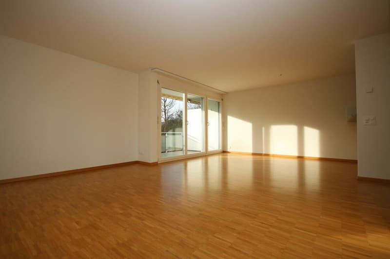Grosszügige, moderne Wohnung in parkähnlicher Umgebung (4)