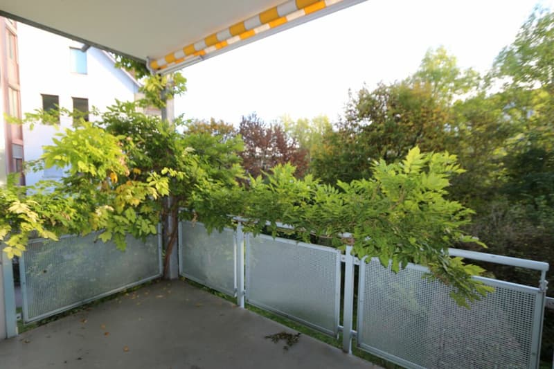 Grosszügige, moderne Wohnung in parkähnlicher Umgebung (3)