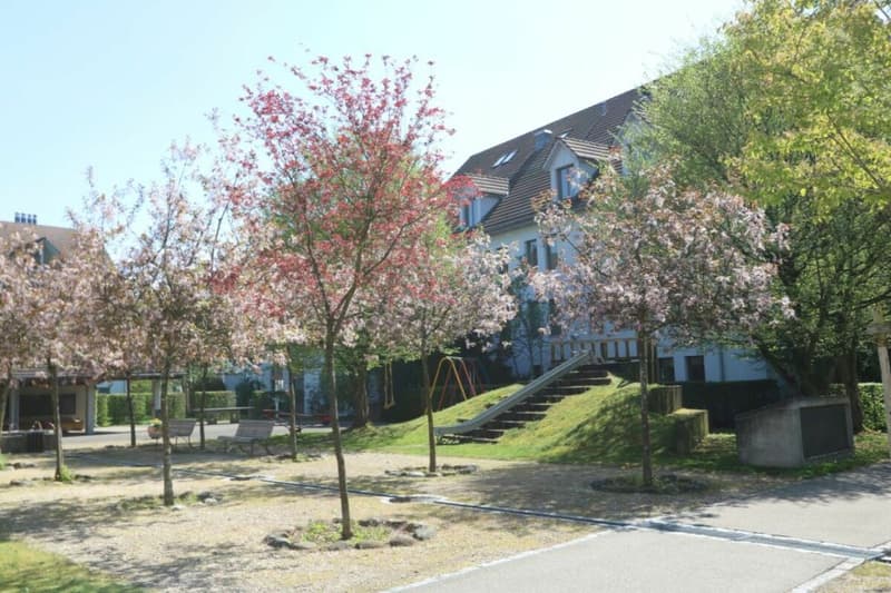 Grosszügige, moderne Wohnung in parkähnlicher Umgebung (2)