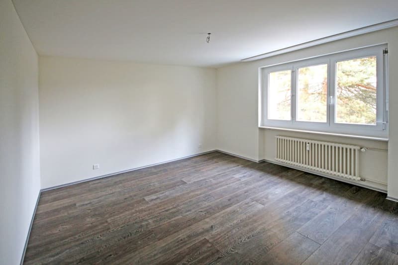 Moderne Wohnung gesucht? - Mitten im Zentrum mit idealen Anbindungen! (4)