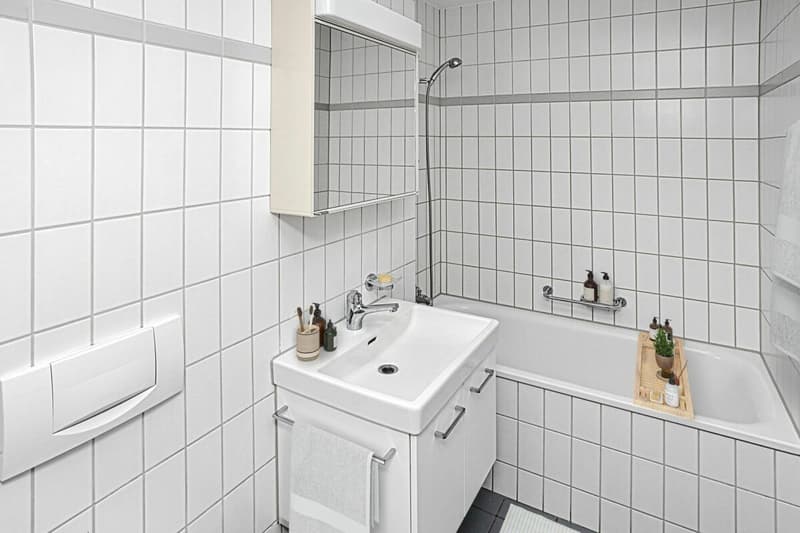 Grosszügige 4.5 Zimmer-Wohnung im Herzen von Bad Zurzach (3)