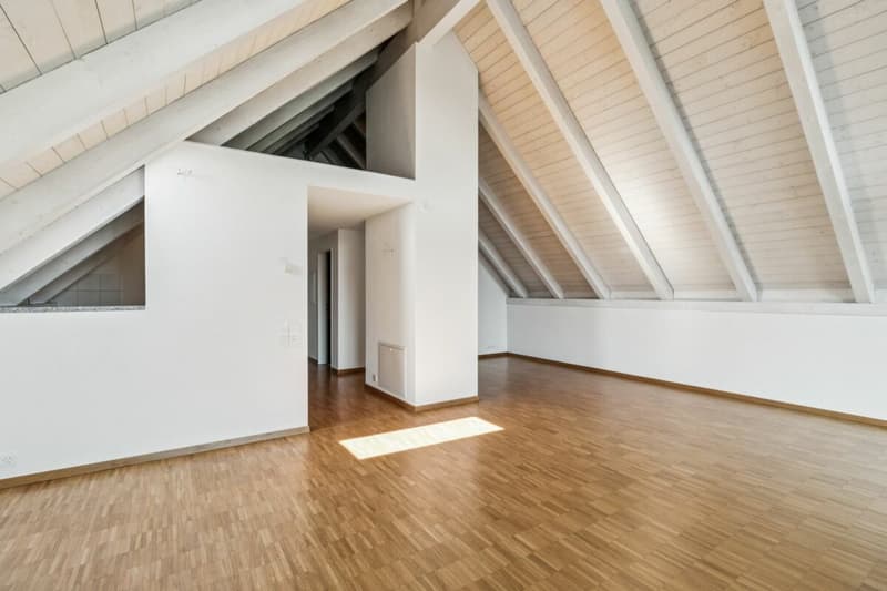 Grosszügige Wohnung in parkähnlicher Umgebung (4)