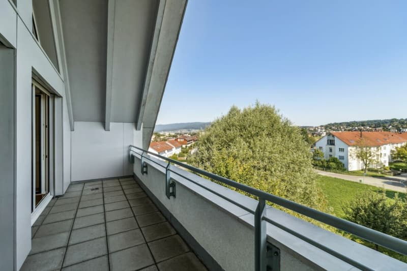 Grosszügige Wohnung in parkähnlicher Umgebung (9)