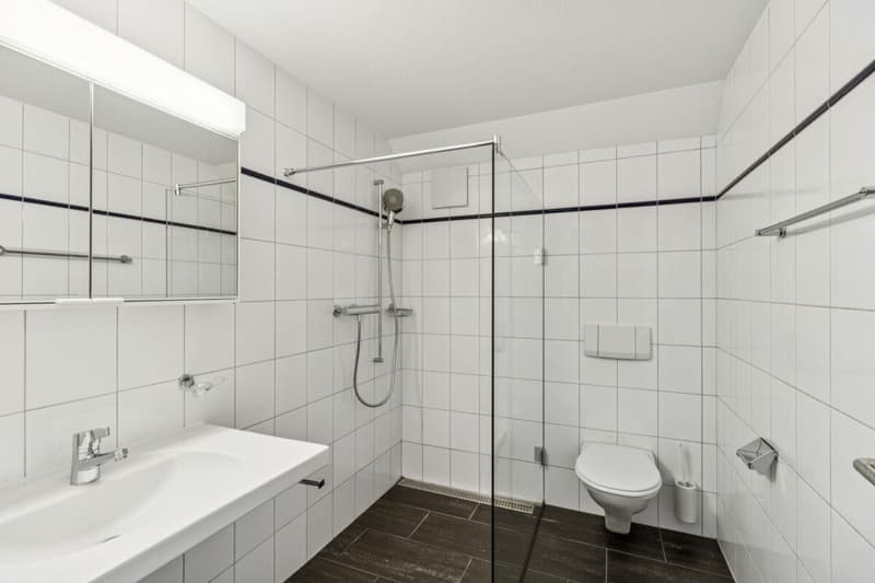 Grosszügige Wohnung in parkähnlicher Umgebung (8)