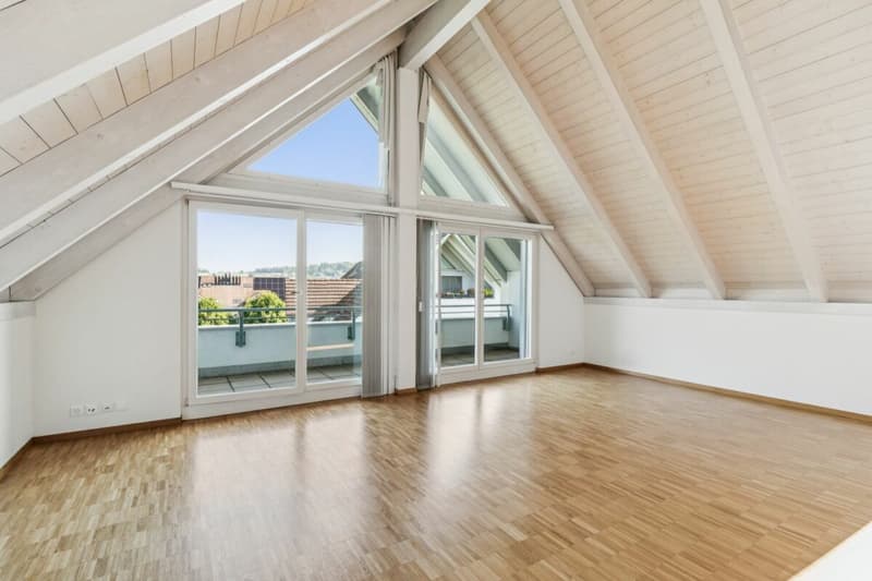 Grosszügige Wohnung in parkähnlicher Umgebung (3)
