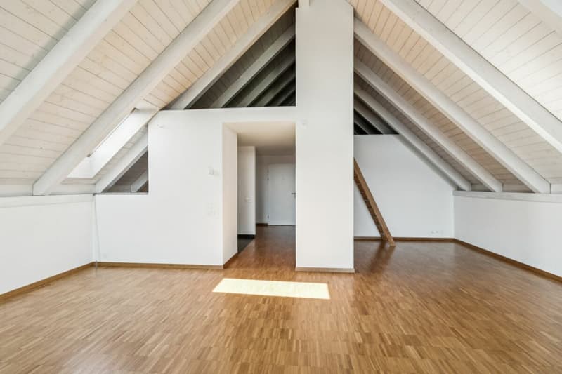 Grosszügige Wohnung in parkähnlicher Umgebung (6)