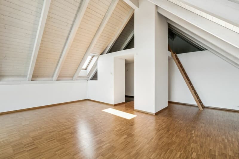 Grosszügige Wohnung in parkähnlicher Umgebung (5)