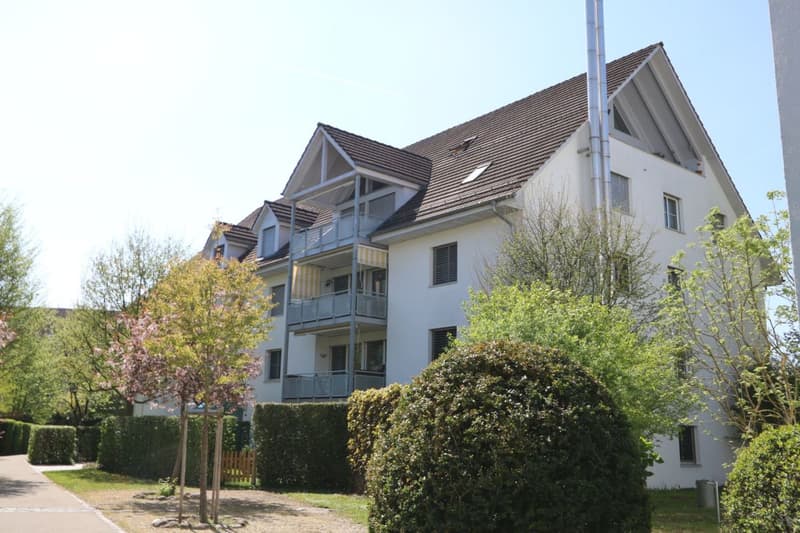 Grosszügige Wohnung in parkähnlicher Umgebung (12)