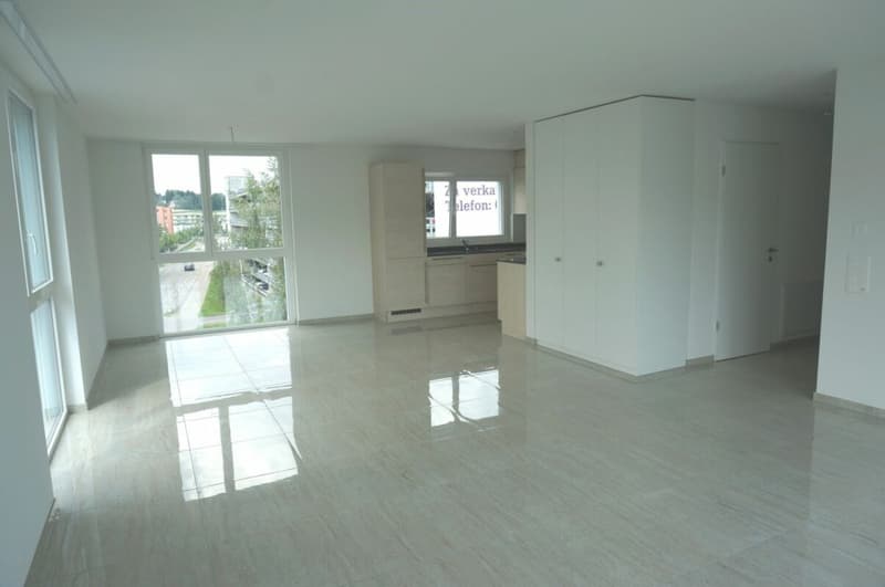 Grosszügige 3.5-Zimmer-Wohnung an guter Lage (3)