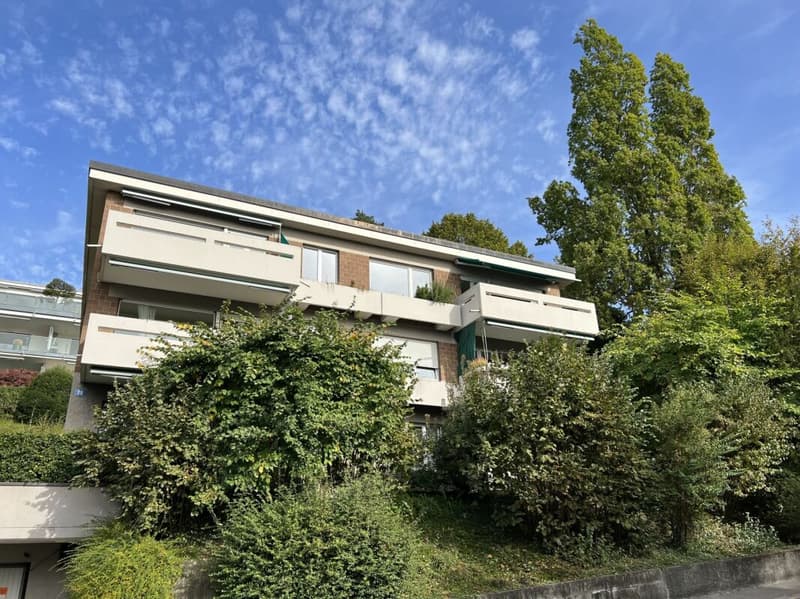 Perfekte Single-Wohnung - befristet bis 31.01.2027 (5)