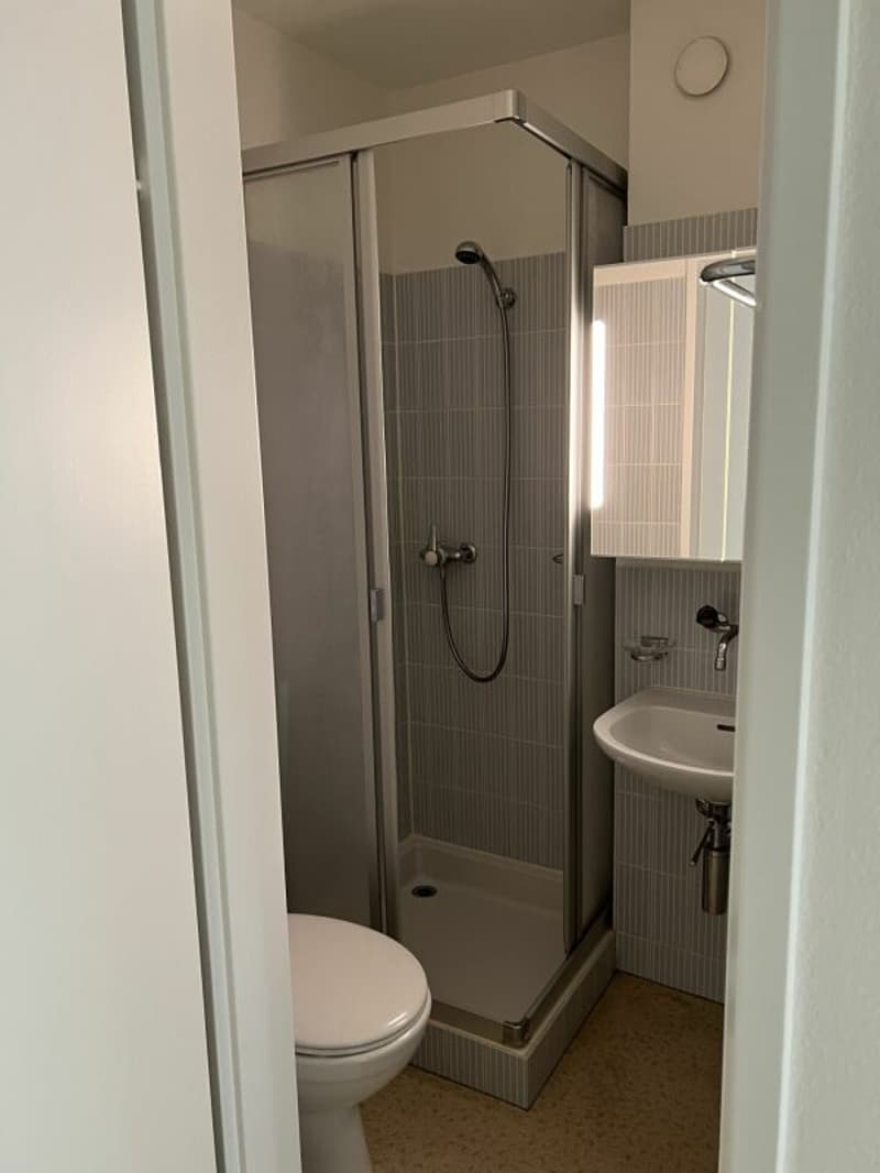 Perfekte Single-Wohnung - befristet bis 31.01.2027 (4)