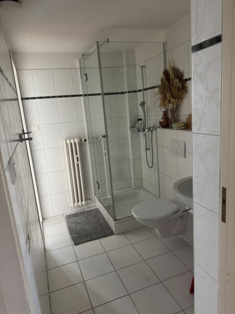 Grosszügige 4.5-Zimmer-Wohnung mit direktem Zugang zum See (13)