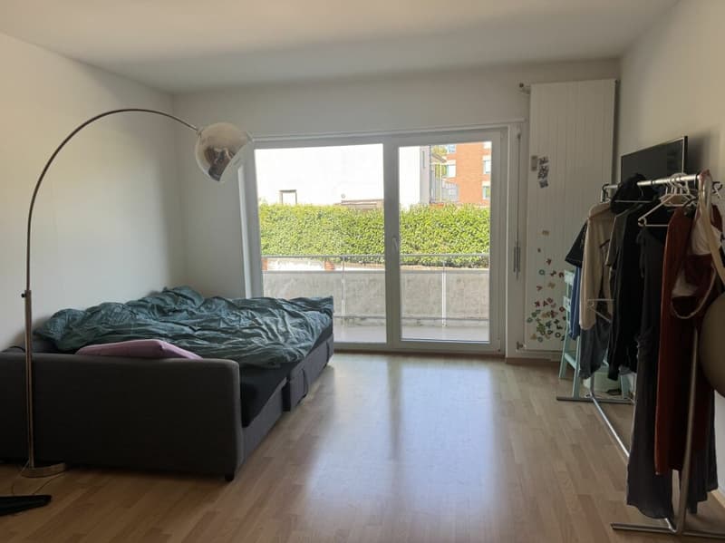 Grosszügige 4.5-Zimmer-Wohnung mit direktem Zugang zum See (9)