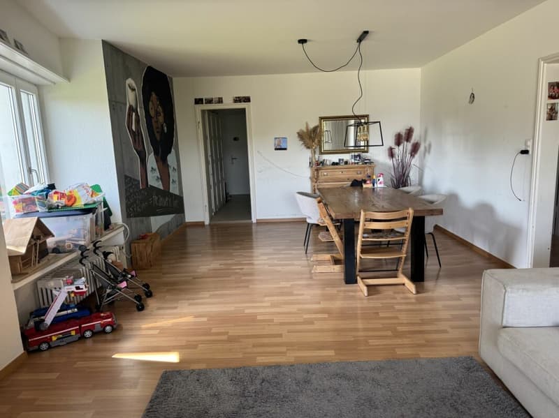 Grosszügige 4.5-Zimmer-Wohnung mit direktem Zugang zum See (3)