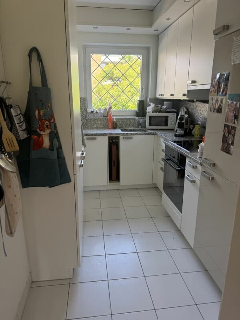 Grosszügige 4.5-Zimmer-Wohnung mit direktem Zugang zum See (5)