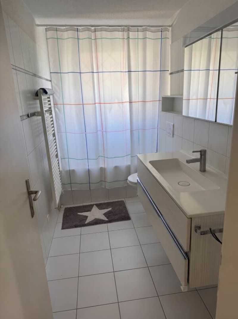 Grosszügige 4.5-Zimmer-Wohnung mit direktem Zugang zum See (7)