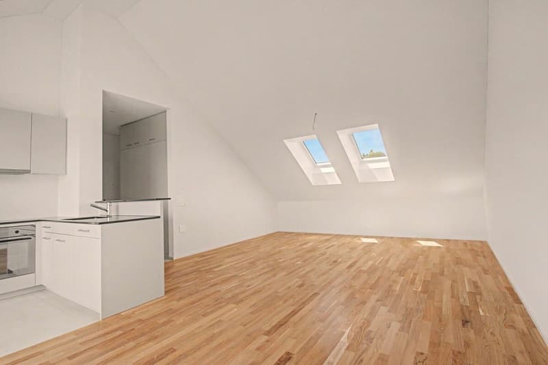 Letzte Attika-Wohnung zu vermieten! (3)