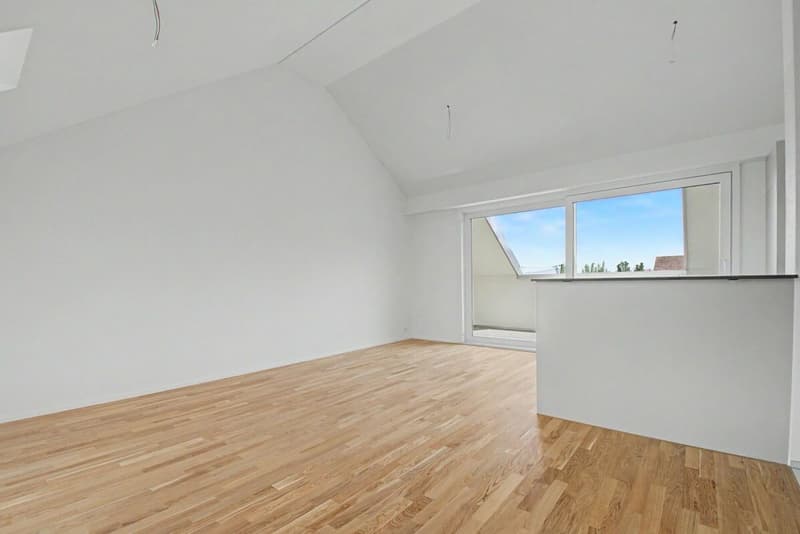 Letzte Attika-Wohnung zu vermieten! (4)