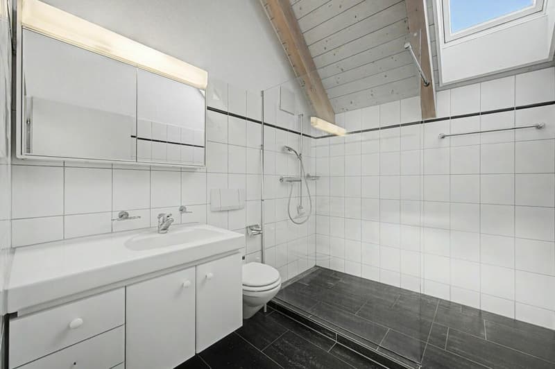 Gemütliche 2.5-Zimmer-Wohnung in grüner Umgebung (7)