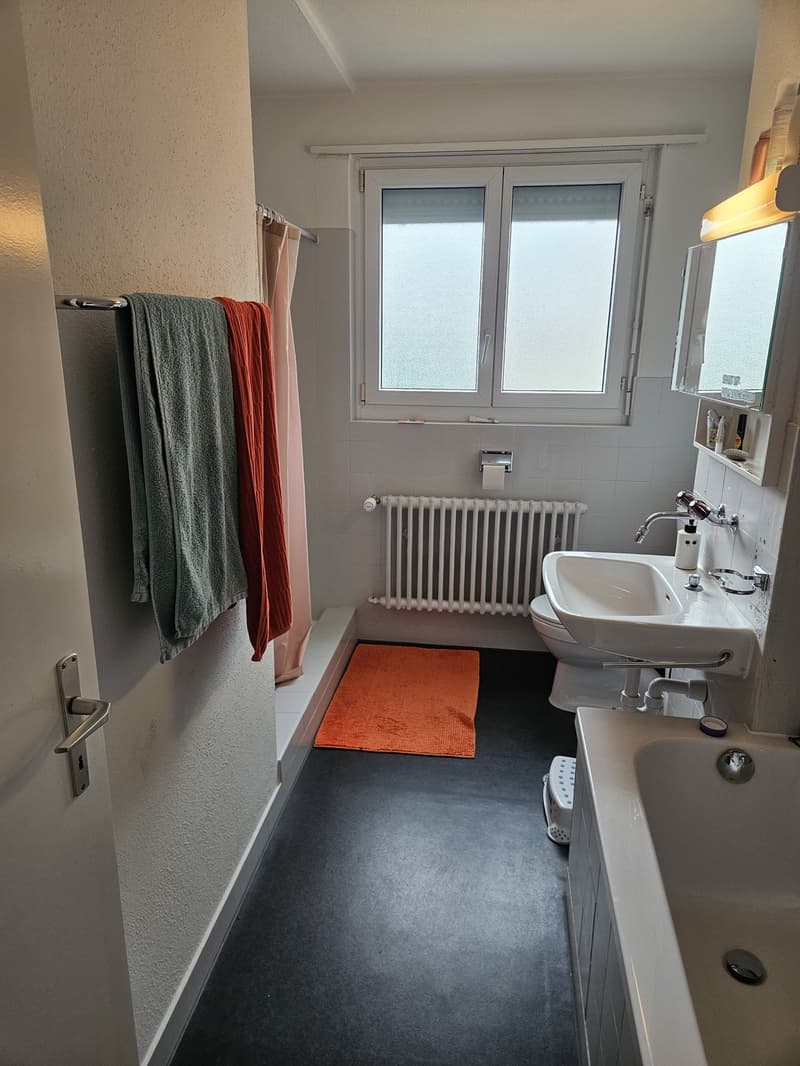 Wohnung an guter Lage (5)