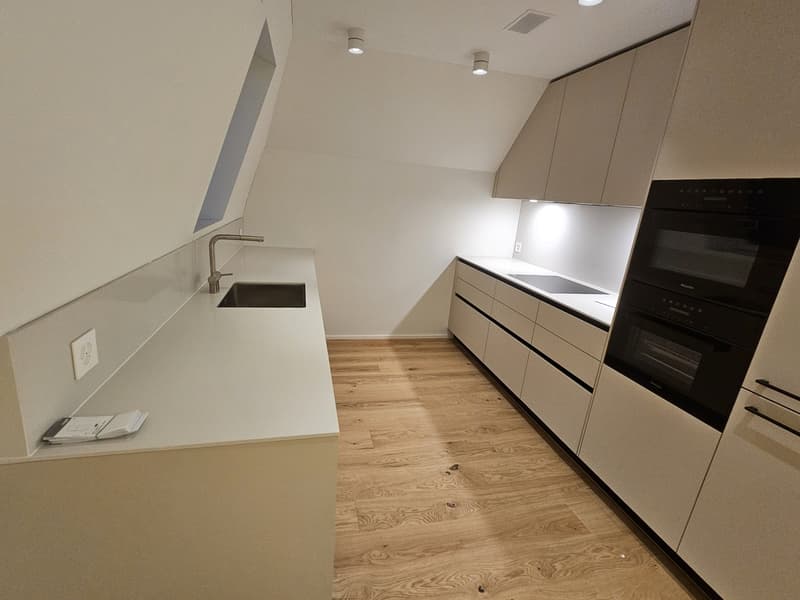 Erstbezug - Wohnen über den Dächern von Höngg zentral mit eigener Dachterrasse und Weitblick (4)