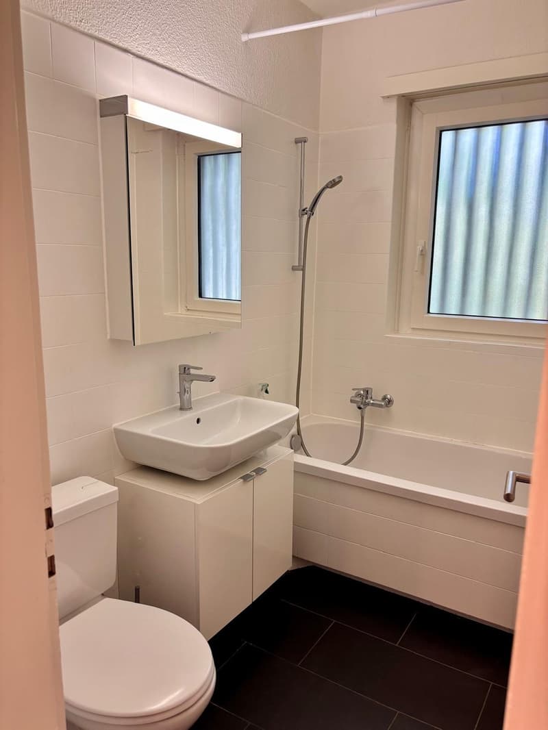 Möblierte 1-Zimmer-Wohnung am Zürichberg (9)
