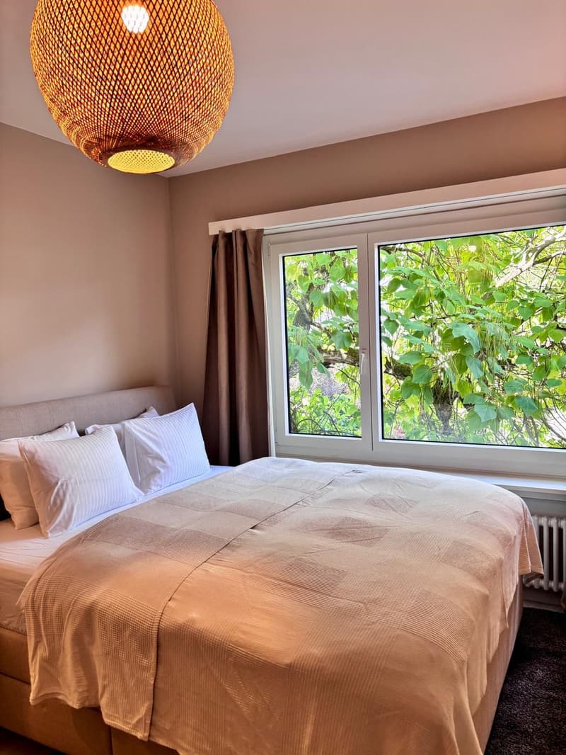 Möblierte 1-Zimmer-Wohnung am Zürichberg (3)