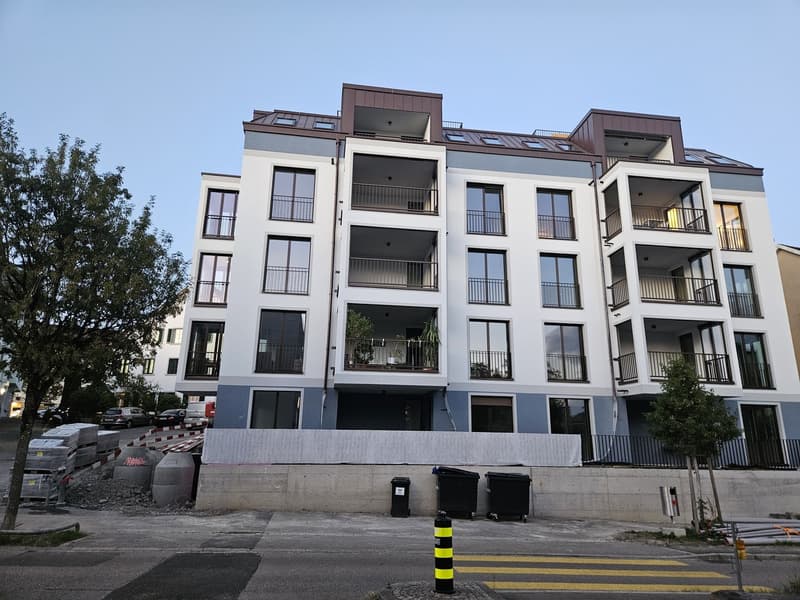 Erstbezug - Wohnen über den Dächern von Höngg zentral mit eigener Dachterrasse und Weitblick (1)