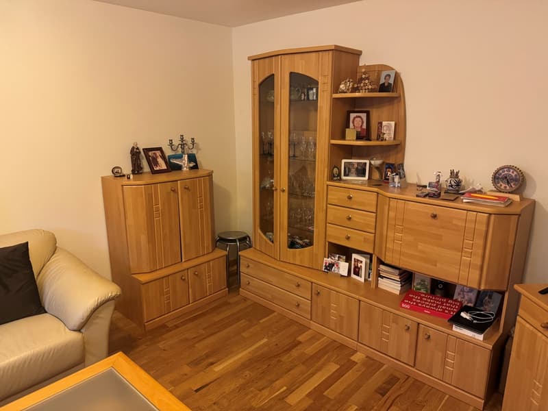3.5-Zimmerwohnung im ruhigen Quartier zu mieten! (3)
