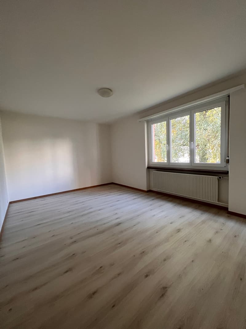 Helle und gemütliche Wohnung in ruhigem Quartier (4)