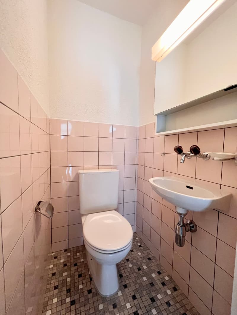 Helle und gemütliche Wohnung in ruhigem Quartier (8)