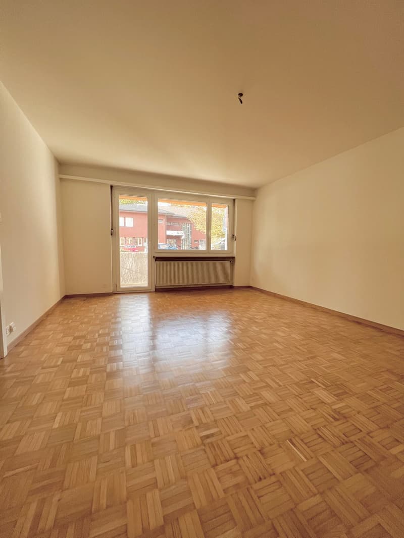 Helle und gemütliche Wohnung in ruhigem Quartier (6)