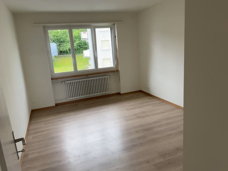 Frisch sanierte, helle und grosse Wohnung in ruhigem Quartier (11)