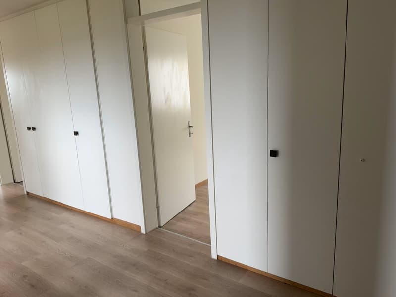 Frisch sanierte, helle und grosse Wohnung in ruhigem Quartier (4)