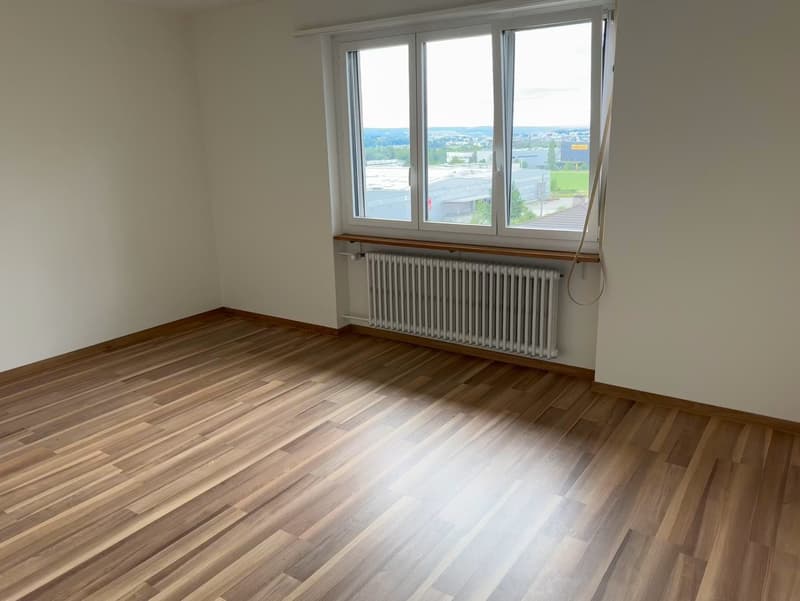 Frisch sanierte, helle und grosse Wohnung in ruhigem Quartier (1)