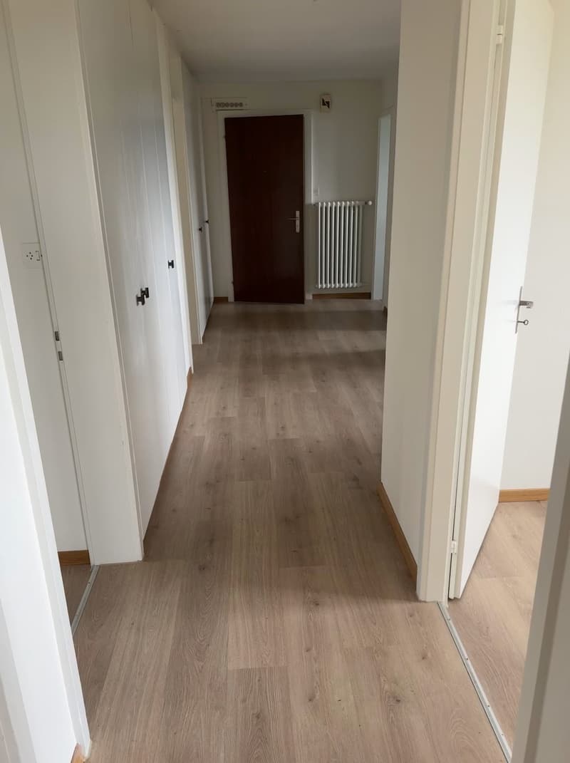 Frisch sanierte, helle und grosse Wohnung in ruhigem Quartier (2)
