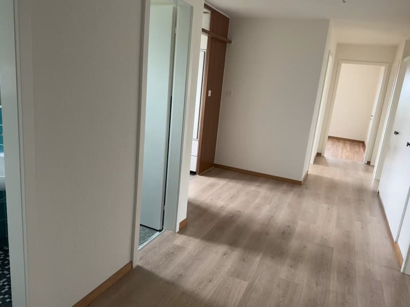 Frisch sanierte, helle und grosse Wohnung in ruhigem Quartier (3)