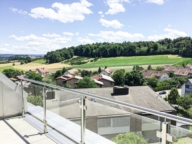 Helle und wunderschöne Attikawohnung mit toller Aussicht (8)