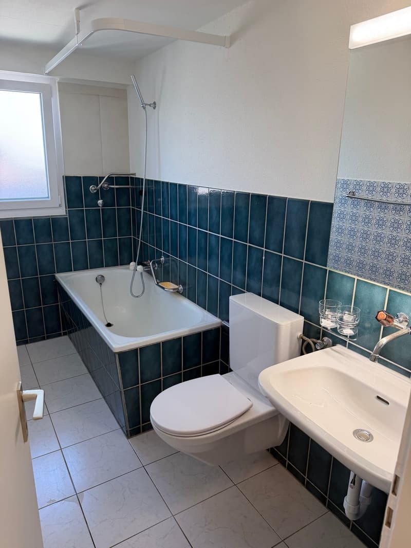 Charmante 1.5-Zimmer-Dachwohnung in Aadorf – sofort verfügbar (5)