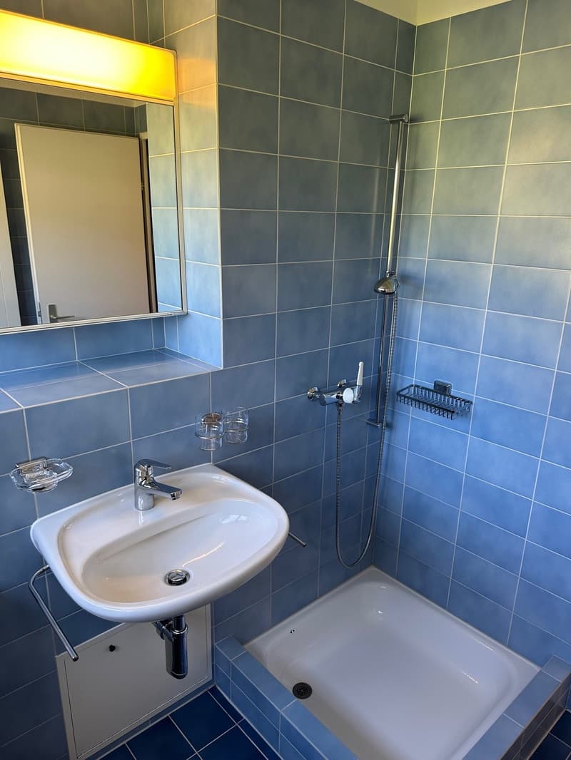 Helle 4.5-Zimmer-Wohnung mit sonnigem Balkon in Weinfelden (6)